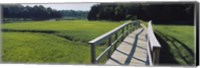 Boardwalk in a field, Nauset Marsh, Cape Cod, Massachusetts, USA Fine Art Print