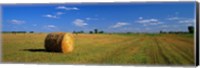 Hay Bales, South Dakota, USA Fine Art Print