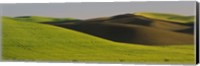 Wheat Field On A Landscape, Whitman County, Washington State, USA Fine Art Print