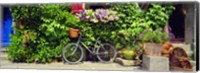 Bicycle In Front Of Wall Covered With Plants And Flowers, Rochefort En Terre, France Fine Art Print