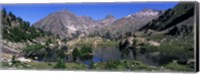 Lake Surrounded By Mountains, Mercantour, Hinterland, French Riviera Fine Art Print