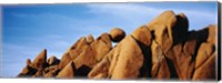 Close-up of rocks, Mojave Desert, Joshua Tree National Monument, California, USA Fine Art Print