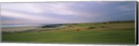 Golf flag on a golf course, Royal Porthcawl Golf Club, Porthcawl, Wales Fine Art Print