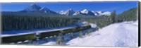 Train Traveling through Banff National Park Fine Art Print