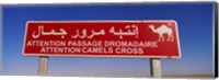 Low angle view of a camel crossing signboard, Douz, Tunisia Fine Art Print