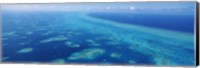 Coral reef in the sea, Belize Barrier Reef, Ambergris Caye, Caribbean Sea, Belize Fine Art Print