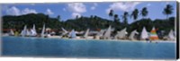 Sailboats on the beach, Grenada Sailing Festival, Grand Anse Beach, Grenada Fine Art Print