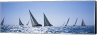 Sailboats racing in the sea, Farr 40's race during Key West Race Week, Key West Florida, 2000 Fine Art Print
