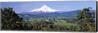 Trees and farms with a snowcapped mountain in the background, Mt Hood, Oregon, USA Fine Art Print
