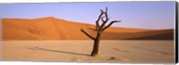 Dead tree in a desert, Dead Vlei, Sossusvlei, Namib-Naukluft National Park, Namibia Fine Art Print