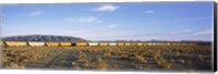 Freight train in a desert, Trona, San Bernardino County, California, USA Fine Art Print