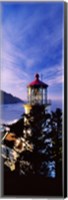 Lighthouse at a coast, Heceta Head Lighthouse, Heceta Head, Lane County, Oregon (vertical) Fine Art Print