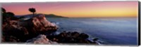 Silhouette of Lone Cypress Tree at a coast, 17-Mile Drive, Carmel, Monterey County, California, USA Fine Art Print