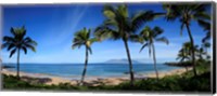 Palm trees on the beach, Maui, Hawaii, USA Fine Art Print