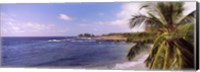 Palm tree on the beach, Hamoa Beach, Hana, Maui, Hawaii, USA Fine Art Print