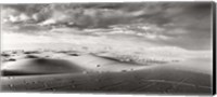 Sahara Desert landscape, Morocco (black and white) Fine Art Print