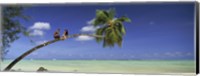 Couple on trunk of a palm tree on the beach, Aitutaki, Cook Islands Fine Art Print