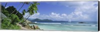 Palm trees on the beach, Anse Severe, La Digue Island, Praslin Island, Seychelles Fine Art Print