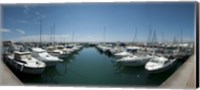 Boats docked in the small harbor, Provence-Alpes-Cote d'Azur, France Fine Art Print
