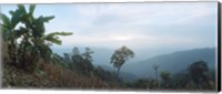 Trees on a hill, Chiang Mai, Thailand Fine Art Print