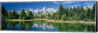 Reflection of trees in water with mountains, Schwabachers Landing, Grand Teton, Grand Teton National Park, Wyoming, USA Fine Art Print