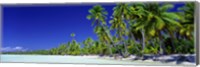 Beach With Palm Trees, Bora Bora, Tahiti Fine Art Print
