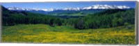 San Miguel Mountains In Spring, Colorado, USA Fine Art Print