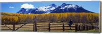 Last Dollar Ranch, Ridgeway, Colorado, USA Fine Art Print