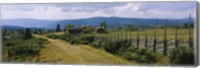 Farmhouses in a field, Gudbrandsdalen, Oppland, Norway Fine Art Print