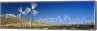 Wind turbines spinning in a field, Palm Springs, California, USA Fine Art Print