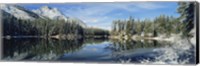 Reflection of trees in a lake, Yellowstone National Park, Wyoming, USA Fine Art Print
