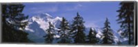 Mountains covered with snow, Swiss Alps, Wengen, Bernese Oberland, Switzerland Fine Art Print