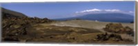 Landscape with ocean in the background, Isabela Island, Galapagos Islands, Ecuador Fine Art Print