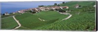 Vineyards overlooking Lake Geneva, Switzerland Fine Art Print