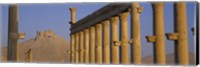 Low angle view of Great Colonnade, Palmyra, Syria Fine Art Print