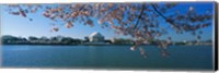 Monument at the waterfront, Jefferson Memorial, Potomac River, Washington DC, USA Fine Art Print