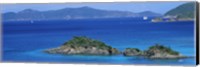 Islands in the sea, Trunk Bay, St. John, US Virgin Islands Fine Art Print