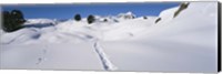 Footprints on a snow covered landscape, Alps, Riederalp, Valais Canton, Switzerland Fine Art Print