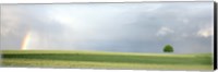 Rainbow and storm clouds over a field, Zurich Canton, Switzerland Fine Art Print