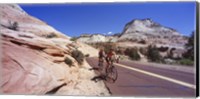 Two people cycling on the road, Zion National Park, Utah, USA Fine Art Print