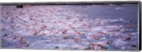 Triathlon athletes swimming in water in a race, Ironman, Kailua Kona, Hawaii, USA Fine Art Print