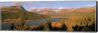 High angle view of a river passing through a field, US Glacier National Park, Montana, USA Fine Art Print