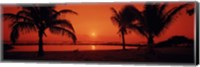 Silhouette of palm trees on the beach at dusk, Lydgate Park, Kauai, Hawaii, USA Fine Art Print