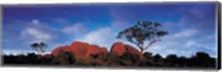 Low angle view of a sandstone, Olgas, Uluru-Kata Tjuta National Park, Northern Territory, Australia Fine Art Print