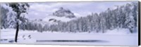 Trees along a frozen lake, Lake Antorno, Tre Cime Di Lavaredo, Dolomites, Cadore, Province of Belluno, Veneto, Italy Fine Art Print