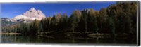Trees at the lakeside, Lake Misurina, Tre Cime Di Lavaredo, Dolomites, Cadore, Province of Belluno, Veneto, Italy Fine Art Print