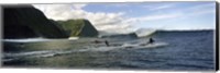 Surfers in the sea, Hawaii, USA Fine Art Print
