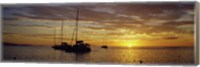 Silhouette of sailboats in the sea at sunset, Tahiti, French Polynesia Fine Art Print