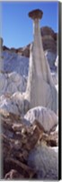 Pinnacle formations on an arid landscape, Wahweap Hoodoos, Arizona, USA Fine Art Print
