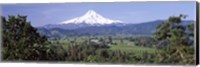 Trees and farms with a snowcapped mountain in the background, Mt Hood, Oregon, USA Fine Art Print